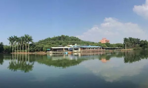 Life is More Than Work - Zhuoli Technology's Nature Journey