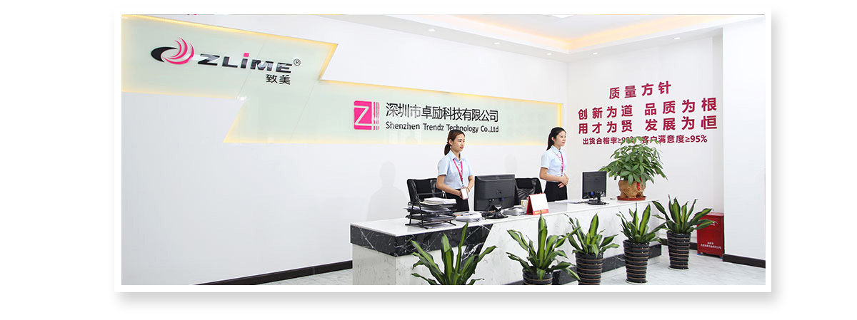 ZL Technology - Company Profile